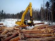 Производство и реализация высококачественной, экологически чистой продукции лесопромышленного комплекса